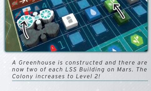 Colony level increase